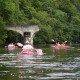Canoe Kayak sur la Semois au Pont casse de Bohan
